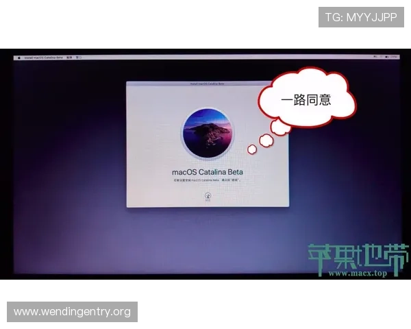 苹果用户必看问鼎入口app下载苹果版的完整安装教程与常见问题解决方案